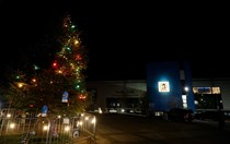 Sponsored tree lights up Christmas